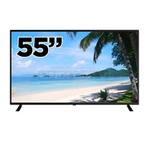 EYEMAX 55" Commercial CCTV LED Monitor